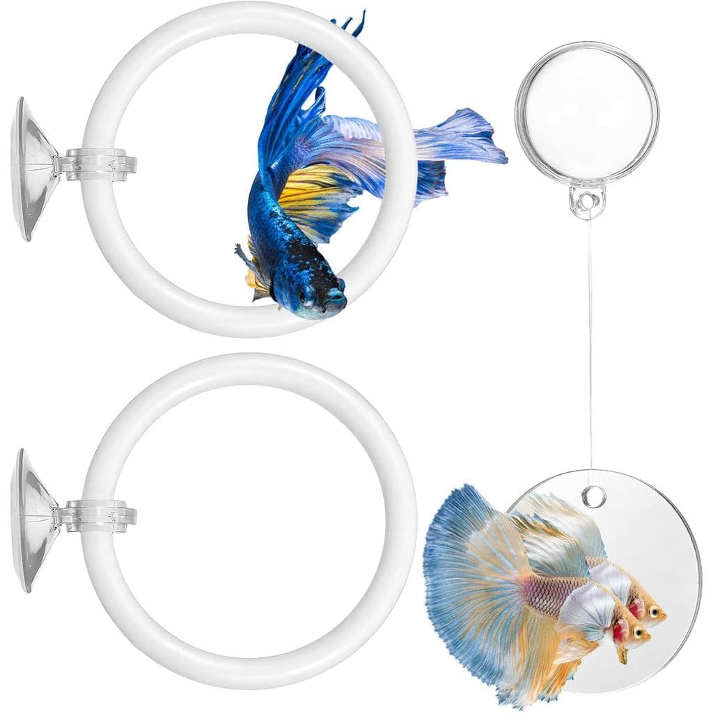 Brinquedos de Enriquecimento para Peixes Betta Molain, Acessórios para Aquário de Peixes Betta, 2 Anéis de Treinamento,