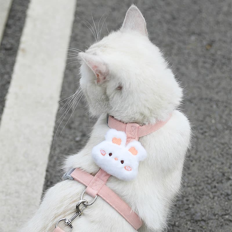 Coleira Para Gatos Evitar Se Perder , Corda Ajustável Caminhada De Com Asas , Arnês Peitoral Gatinhos Usarem Ao Sair , S