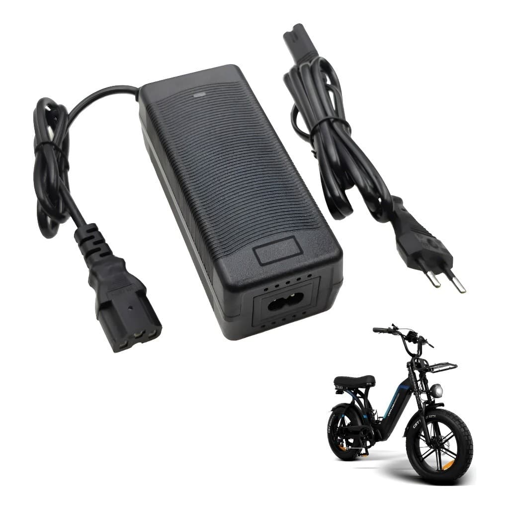 Carregador Bateria Chumbo Compatível Shineray Pt1 48v 20ah Preto