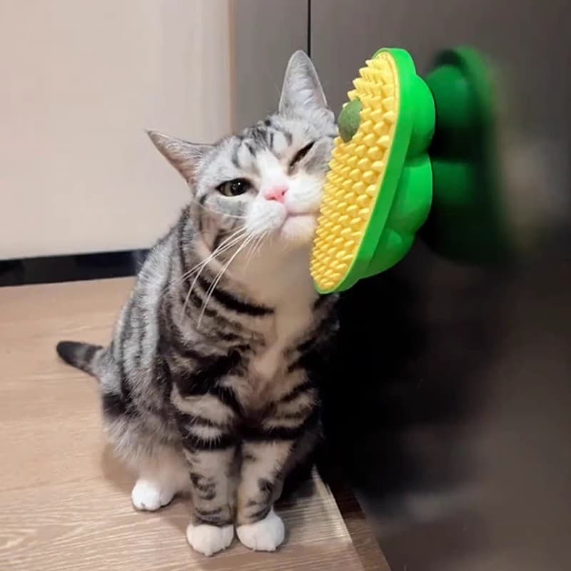 Gato arranhando dispositivo mesa perna cinta pente adesivo canto massagem gatinho auto-feliz tédio aliviar brinquedo Mol