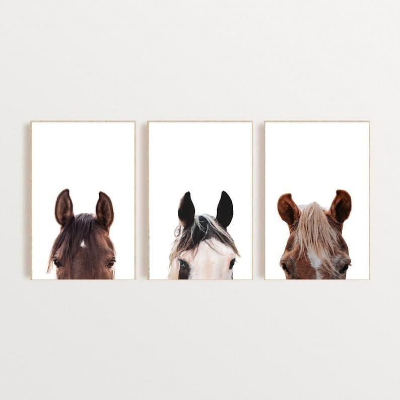 Quadro Decorativo cavalo Amimais  , decoração casa Quadro Decorativo Cavalo tamanho grande