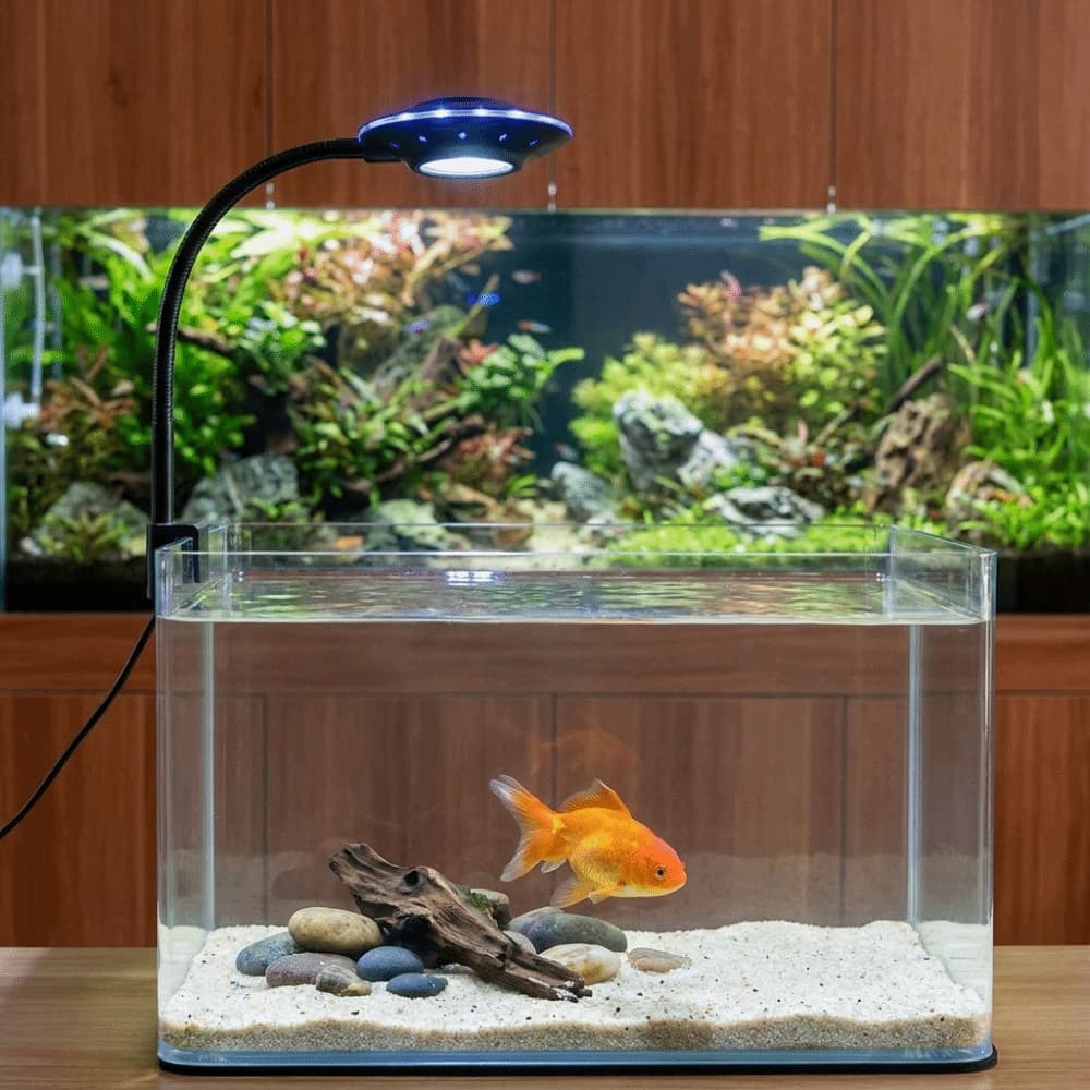 Lâmpada De Clipe Para Tanque De Peixes , Luz Decorativa De Aquário Que Muda De Cor Em Forma De Ovni LED Com Haste Flexív