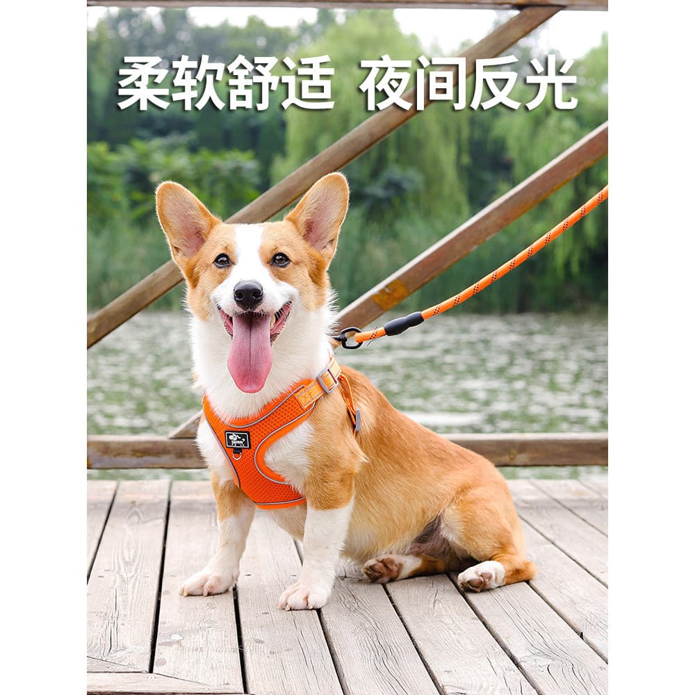 Trela do cão colete tipo pequeno médio cão Corgi francês luta Teddy cinta peito retrátil andando trela cão corrente