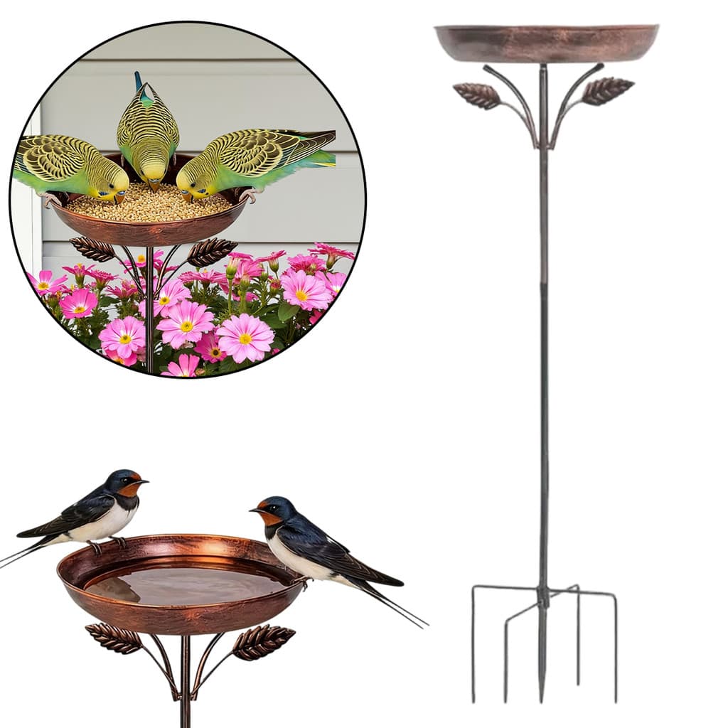 Combinação De Banho E Alimentador De Pássaros Vintage À Prova De Ferrugem Com Plugue De Aterramento De 5 Garras Design D
