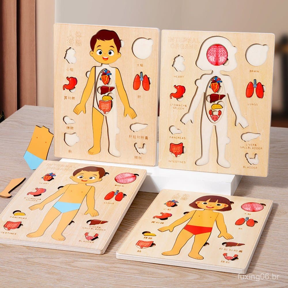Crianças De Madeira Montessori Brinquedos Órgãos Do Corpo Humano Quebra-Cabeças Brinquedo Educativo Pré-Escolar Atividad