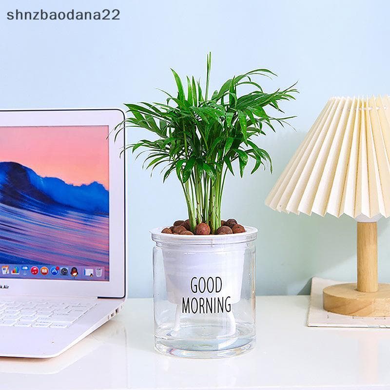 [Shnzd] Mini Vaso De Flores Com Rega Automática Para Tanque De Peixes Vasos De Plantas De Plástico Transparente Planta D
