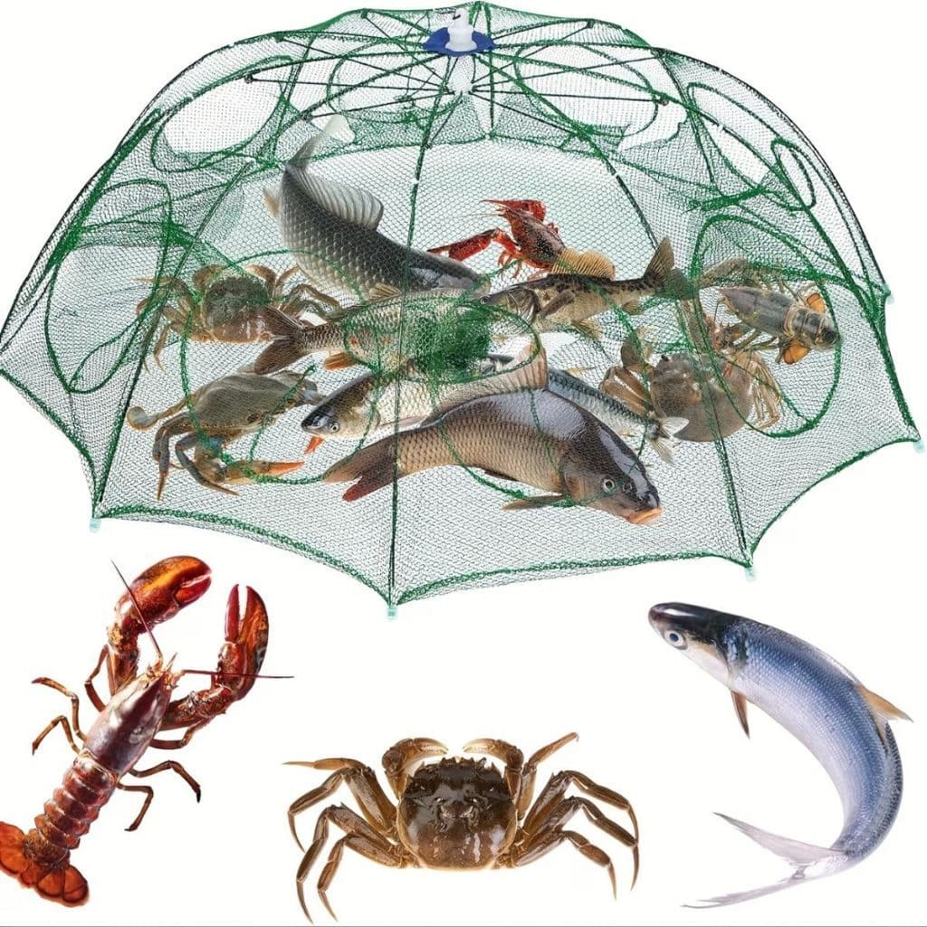 Rede De Pesca Covo Armadilha Dobrável Com 8 Entradas Para Iscas Vivas 78x78cm