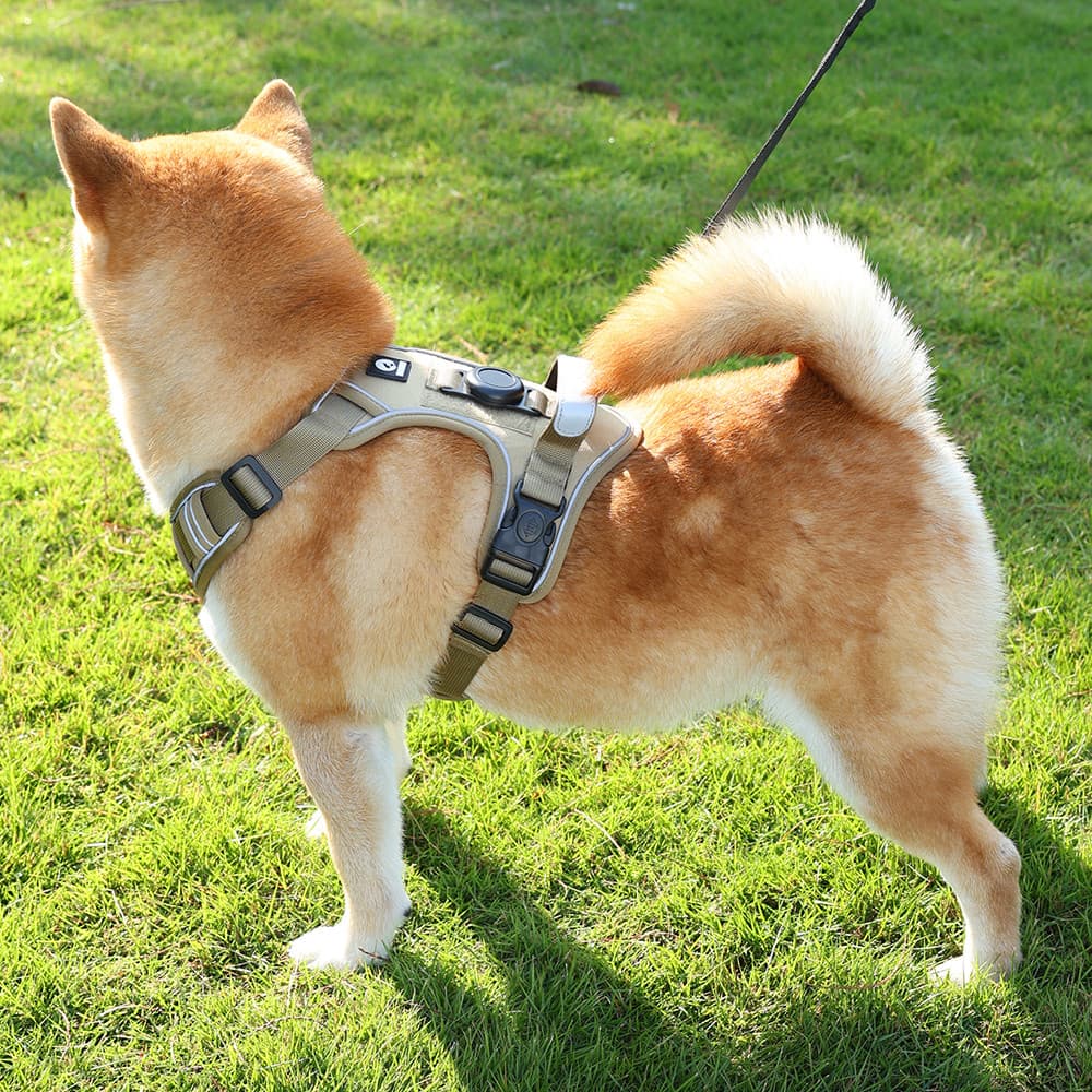 Shiba Inu coleira para cães tipo colete à prova de explosão arnês de peito médio grande cão Corgi ajustável coleira de c