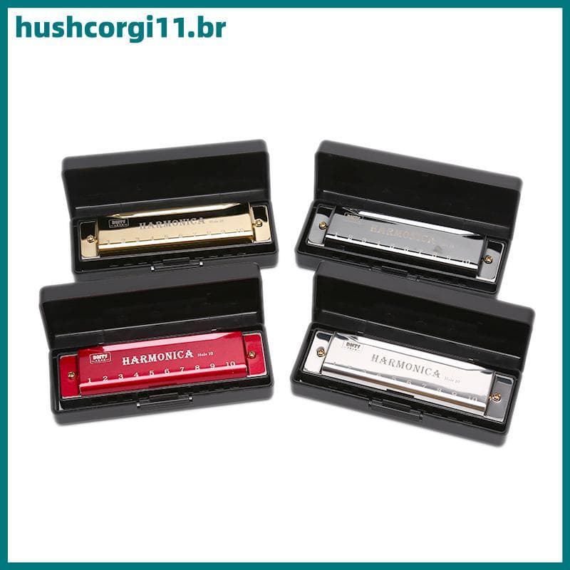 HUSH 10 Buracos Gaita Boca Órgão Quebra-Cabeça Instrumento Musical Iniciante Ensino BR