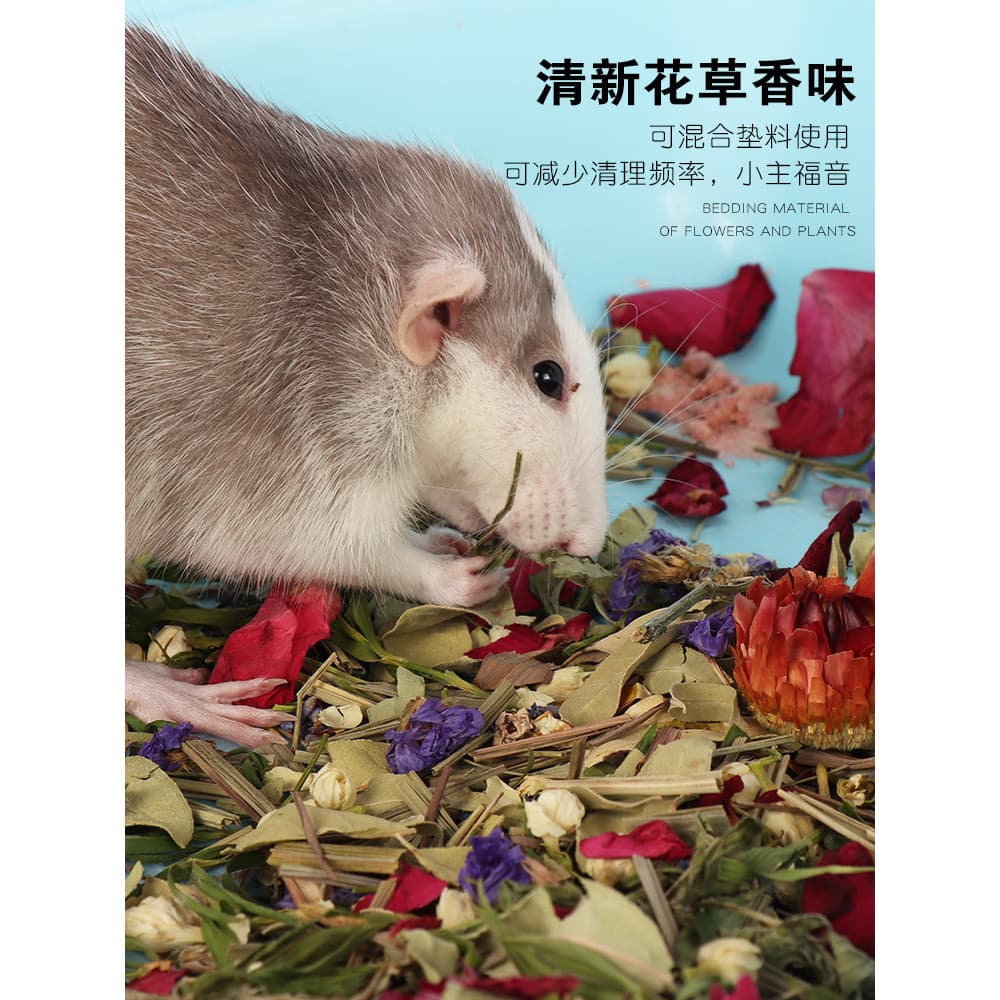 Ramo de flor sálvia flor maca Hamster urso de seda dourado maca especial verão ouriço chinchila coelho ninho paisagismo