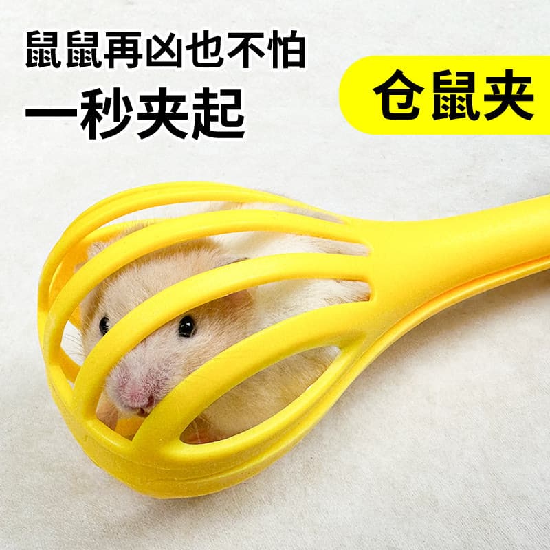 Hamster clipe ratoeira ratoeira hamster urso dourado vida brinquedo interativo suprimentos paisagismo ratoeira