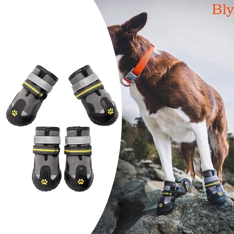 Bly 4pcs Bota À Prova D Protetores Patas Sapatos Para Várias Raças