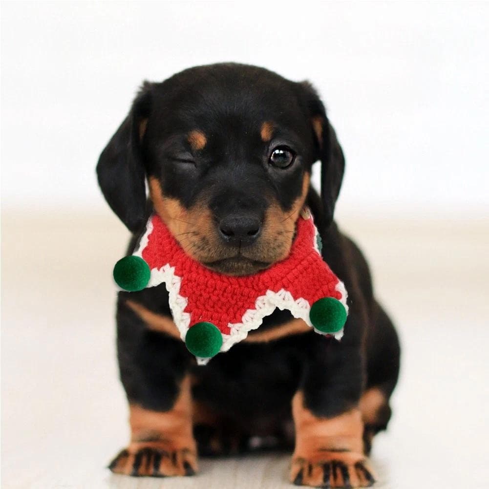 Gato Cão Princesa Trajes Filhote De Cachorro Aniversário Bandana Festa Chapéu Conjunto Babador Renda Bonito Natal E M8w6