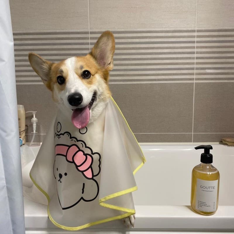 Capa Impermeável para Tosa de Animais de Estimação - Avental para Corte de Cabelo de Cães e Gatos