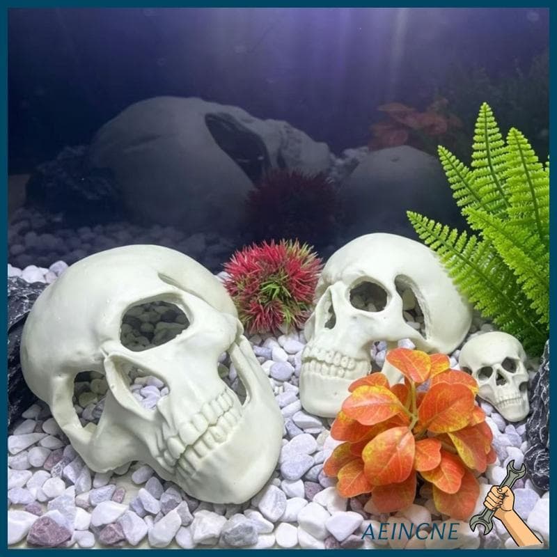 AEIN Crânio Estatueta Para Terrário Habitat Paisagem Prateleiras Exibição Mesa E Tema Sazonal w