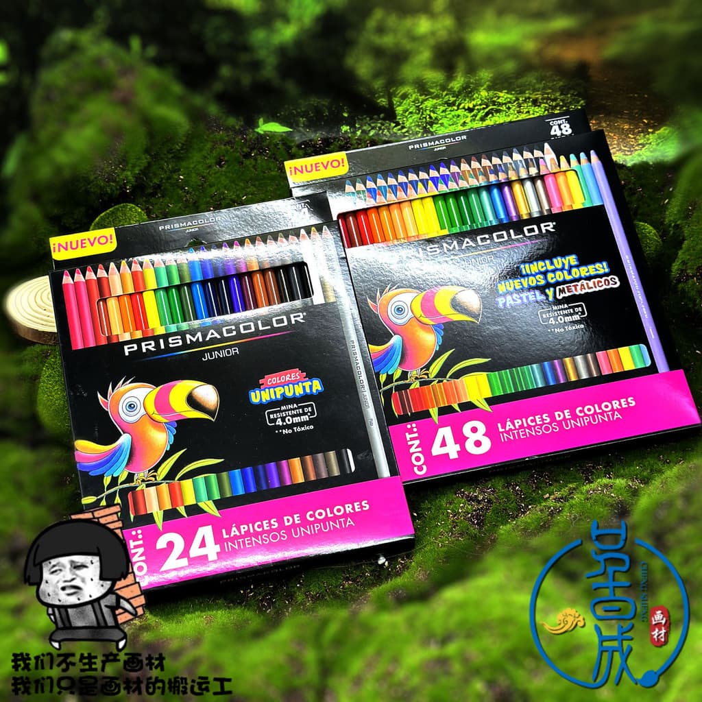 American Pesma Thunder Horse Estudante Grau Conjunto de chumbo colorido à base de óleo Iniciante Zero Básico Introdutóri