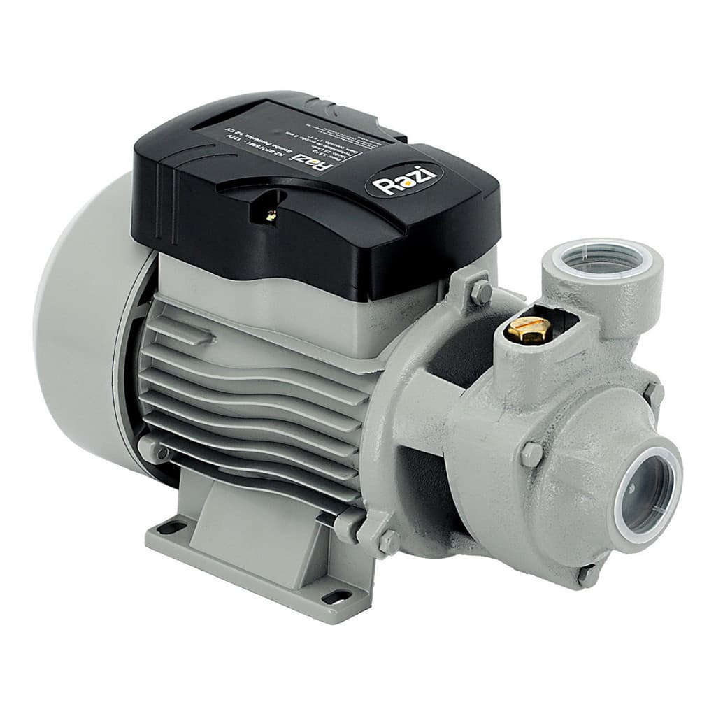 Bomba D' Água Periférica 1/2 Cv Poço Irrigação Bp375 Razi Cinza Monofásica Razi 220v