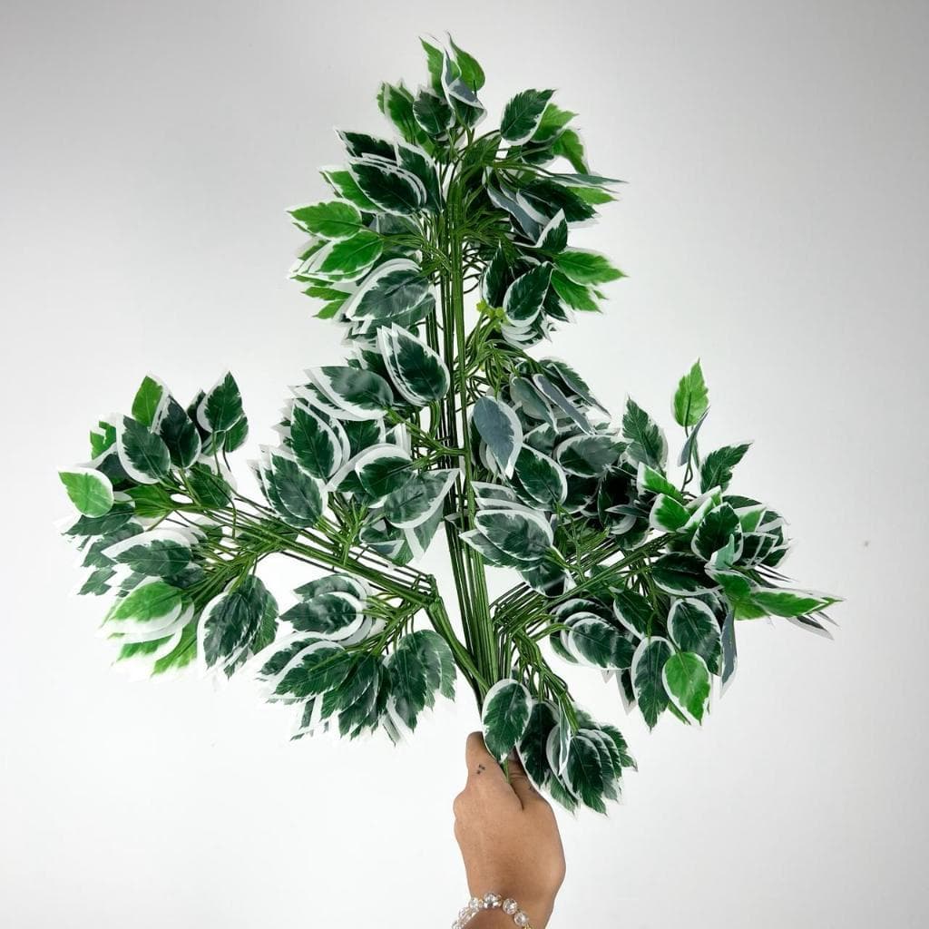 36 Unidades VERDE COM BRANCO Folhagem de FICUS de silicone - BH802259