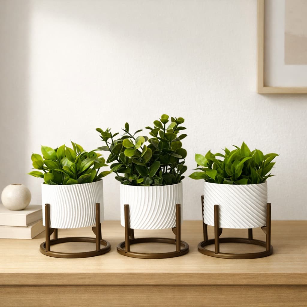 Trio de Vasos Cachepot com Suporte Para Cactos ou Suculentas