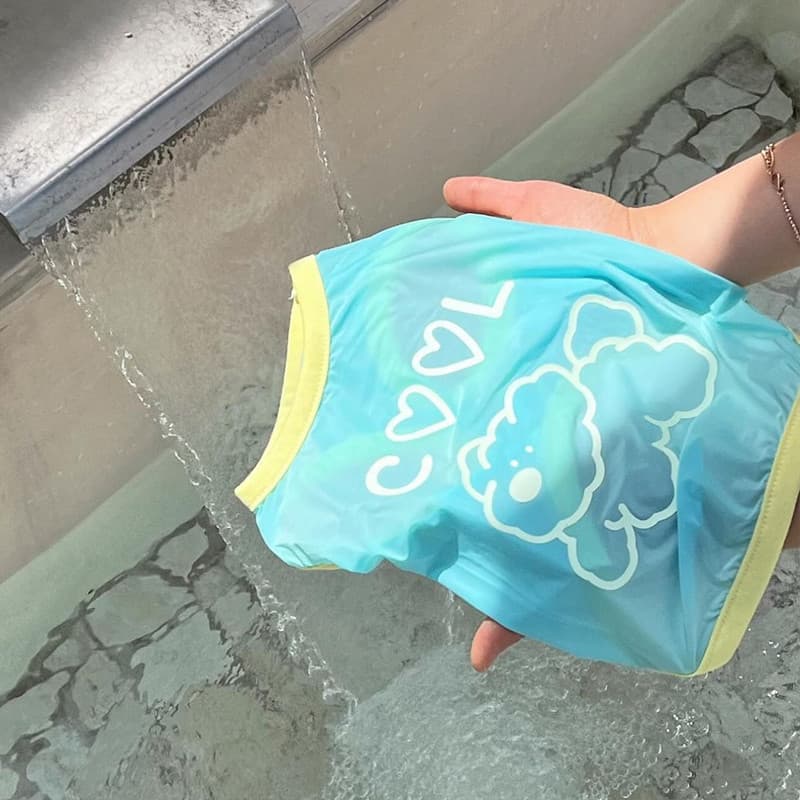 Protetor solar para animais de estimação roupas legais filhote de cachorro roupas de verão Teddy Bichon Corgi Schnauzer