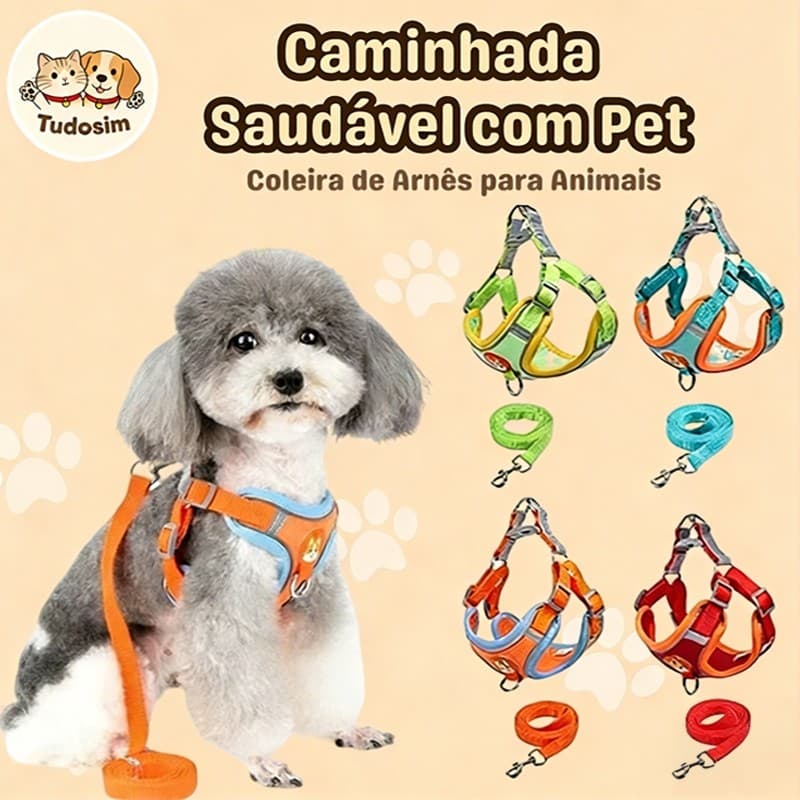 Coleira Peitoral para cachorro pequenos e médios com guia para pet Cachorro Gato colete confortável