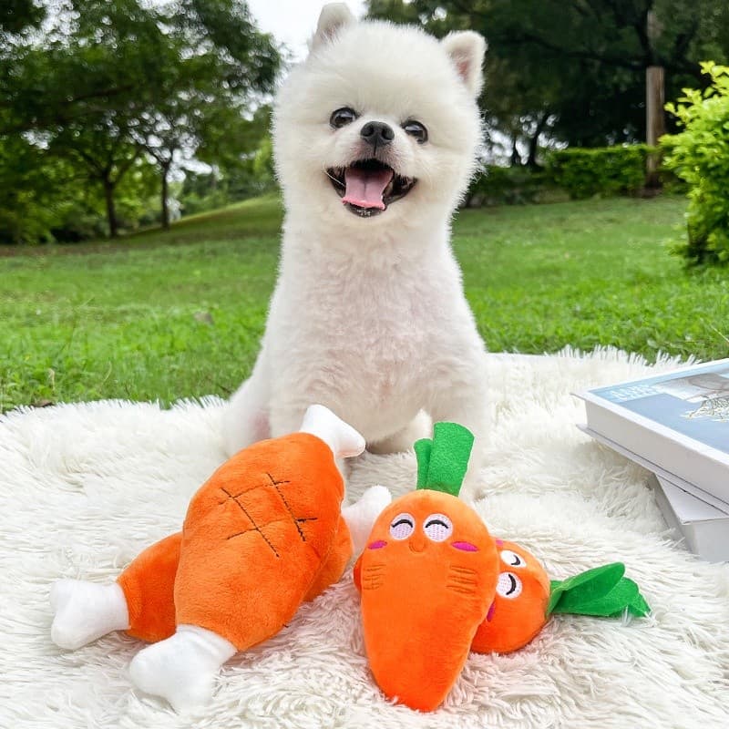 Brinquedo de Pelúcia em Forma de Coxa de Frango com Osso Duplo, Dispositivo BB com Conotação Sonora, Brinquedo para Cães