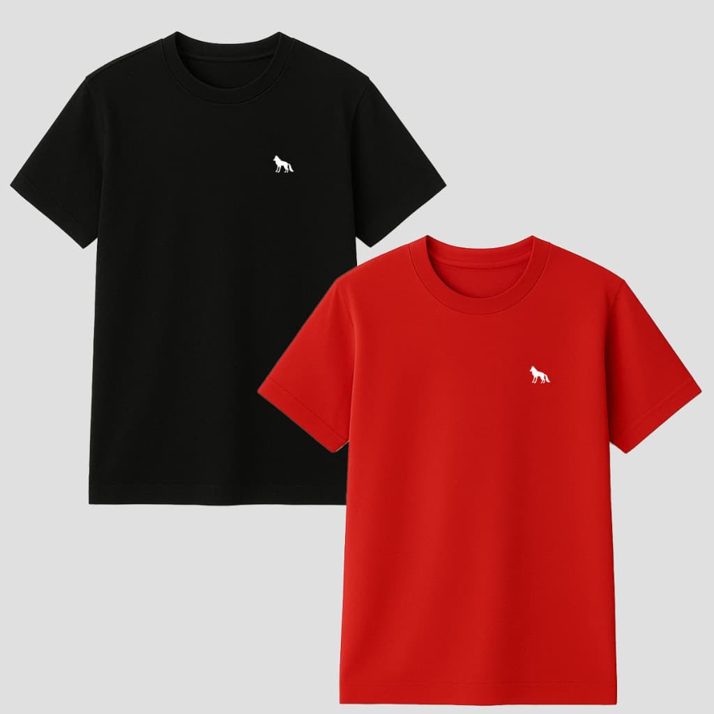 Kit 2 Camisetas Masculinas Básica 100% Algodão Casual Verão