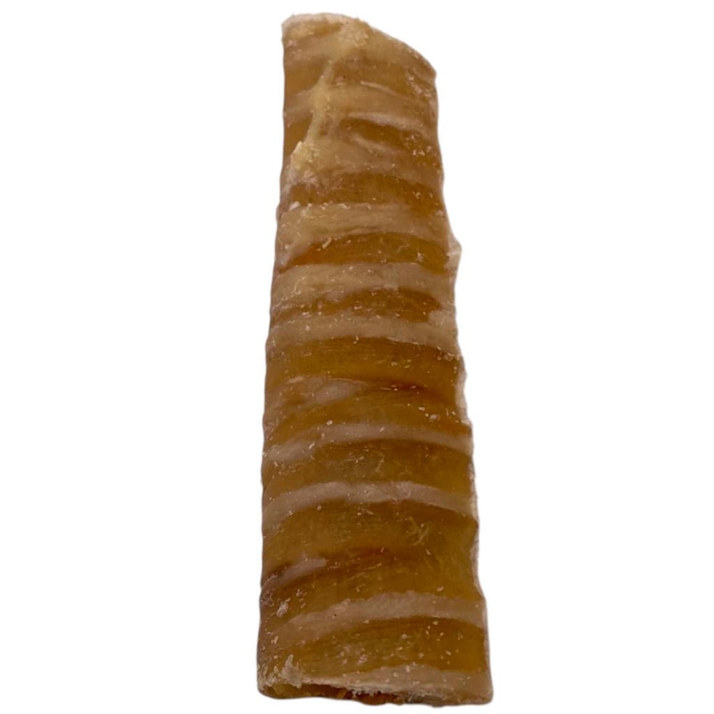 Traqueia Bovina BeefBone Petisco Natural Mordedor Super Premium Cachorro Cães