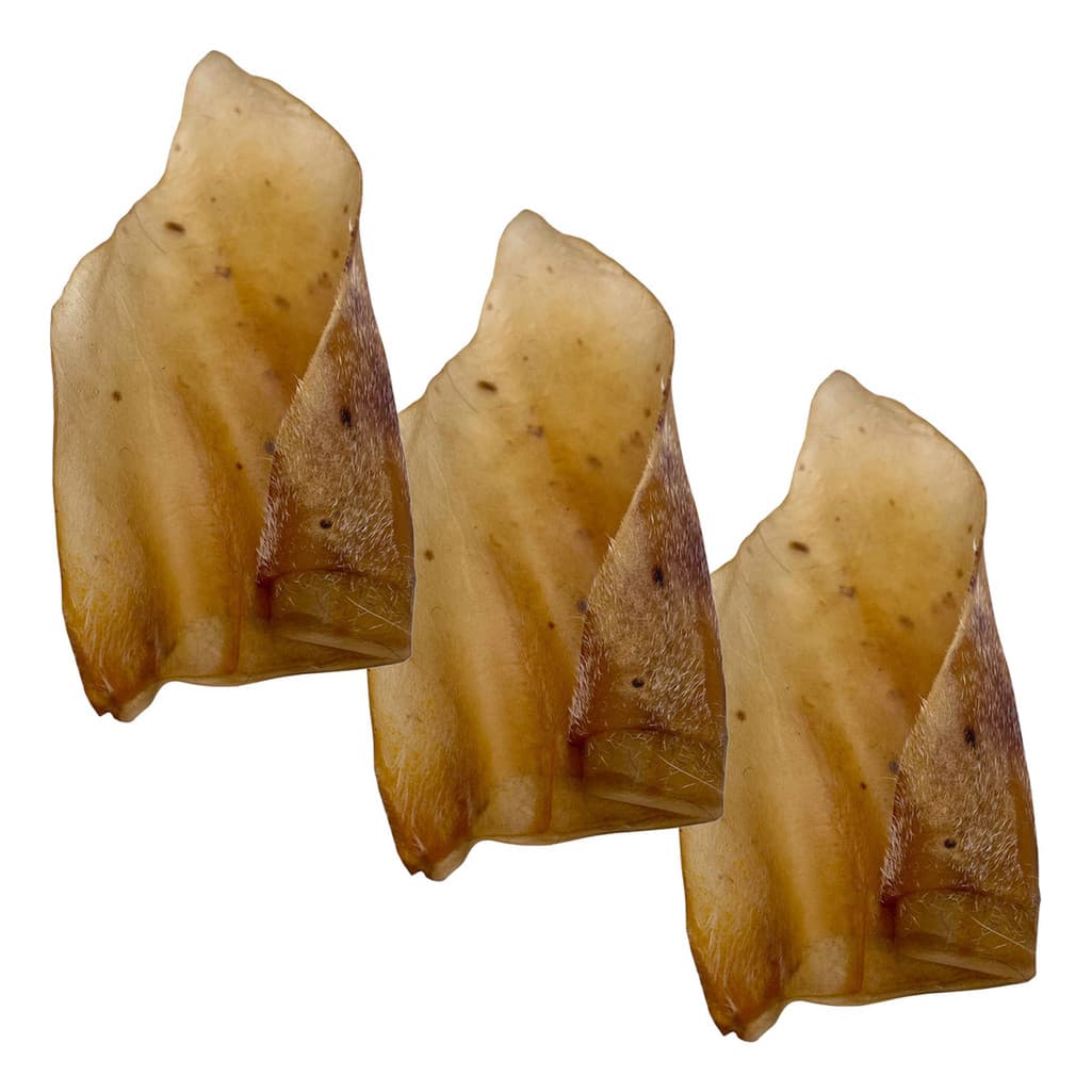 Kit 3 Petisco Natural Orelha Bovina Desidratada para Cães