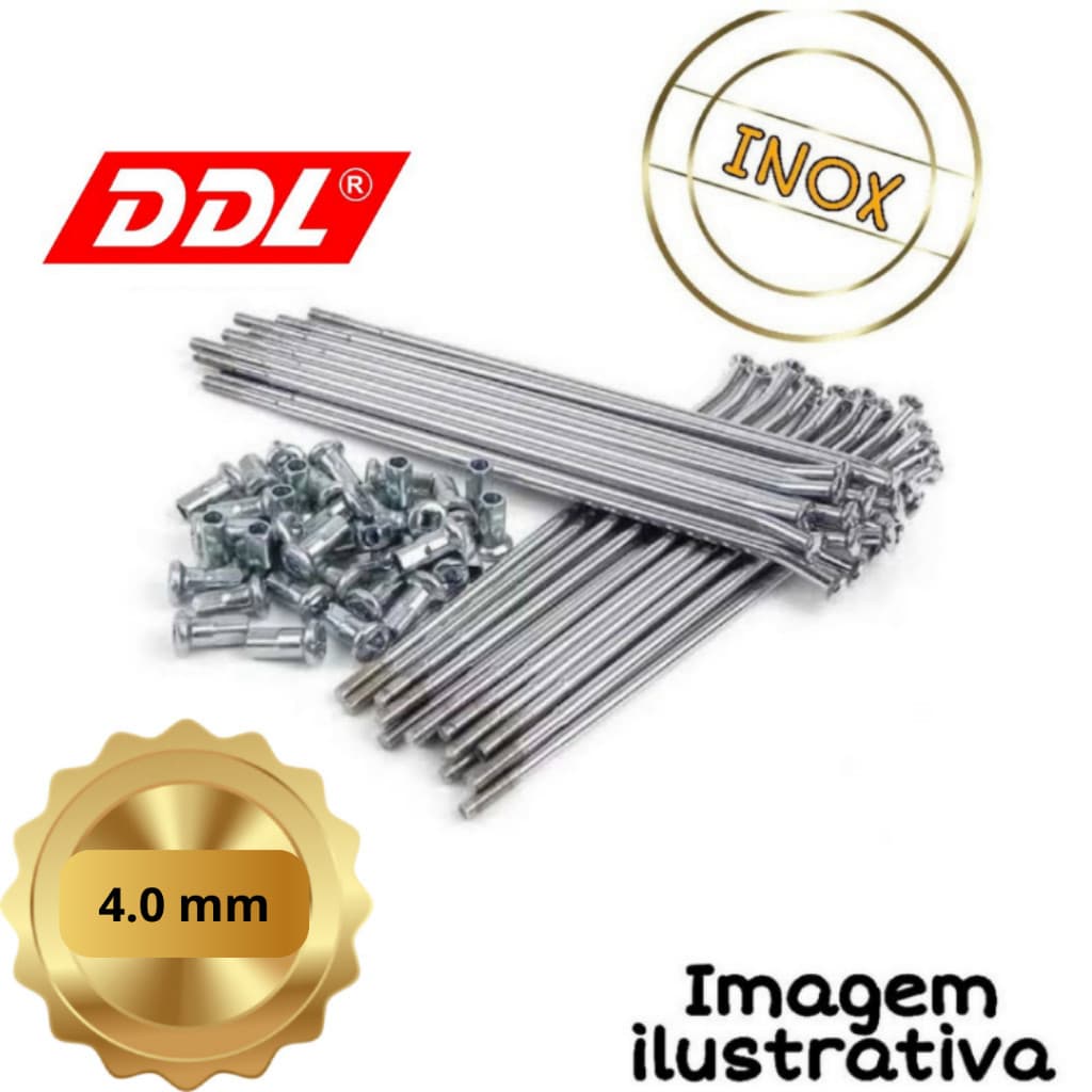 Jogo de Raio Nxr150 Nxr160 Bros 4mm INOX DDL Freio a Disco na Dianteira