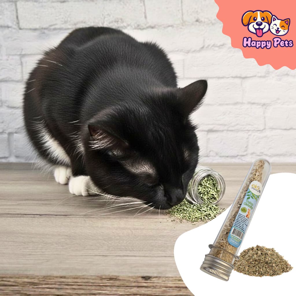 Tubo Catnip Natural para Gatos 5g – Erva Relaxante e Estimulante para Brinquedos.