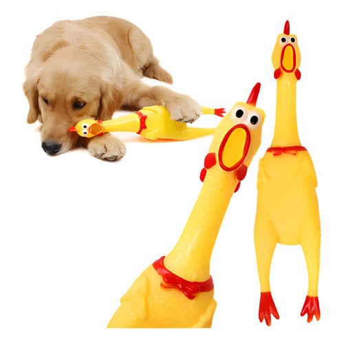Frango Galinha De Borracha Brinquedo Mordedor Pet Cachorro - Pequena Média Grande