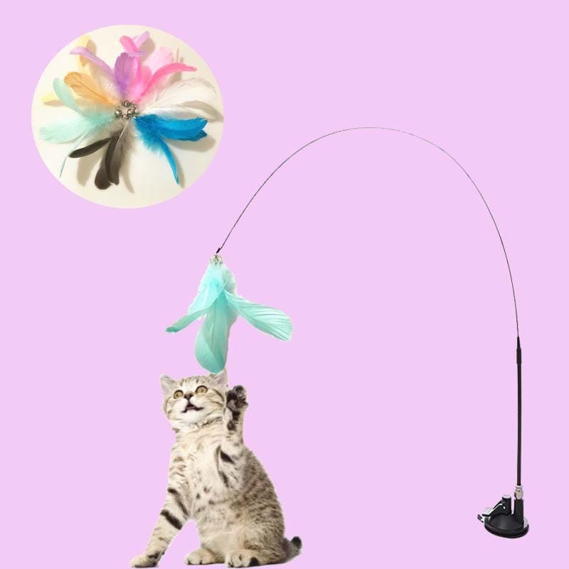 Forte ventosa fio de aço provocando gato vara destacável portátil pena substituível cabeça gato provocando brinquedo do