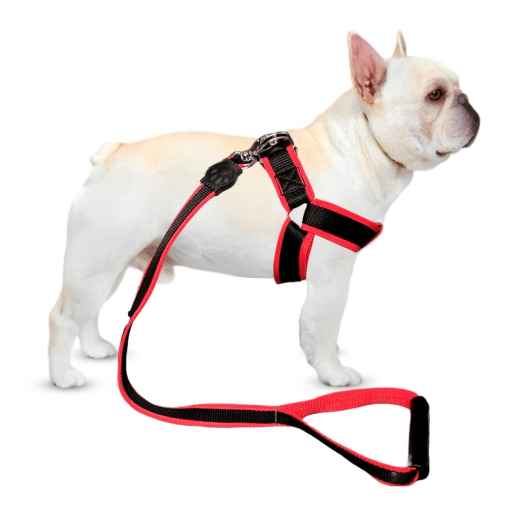Conjunto Peitoral Com Guia Luxo Especial Americano P/ Cachorro Cão Grande Porte Ajustável Resistente