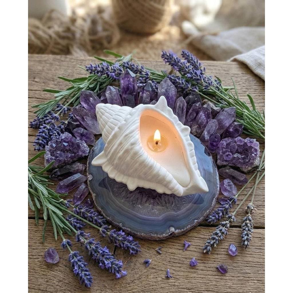 Vela Decorativa Aromática Concha Mar Perfumada Vela Praiana