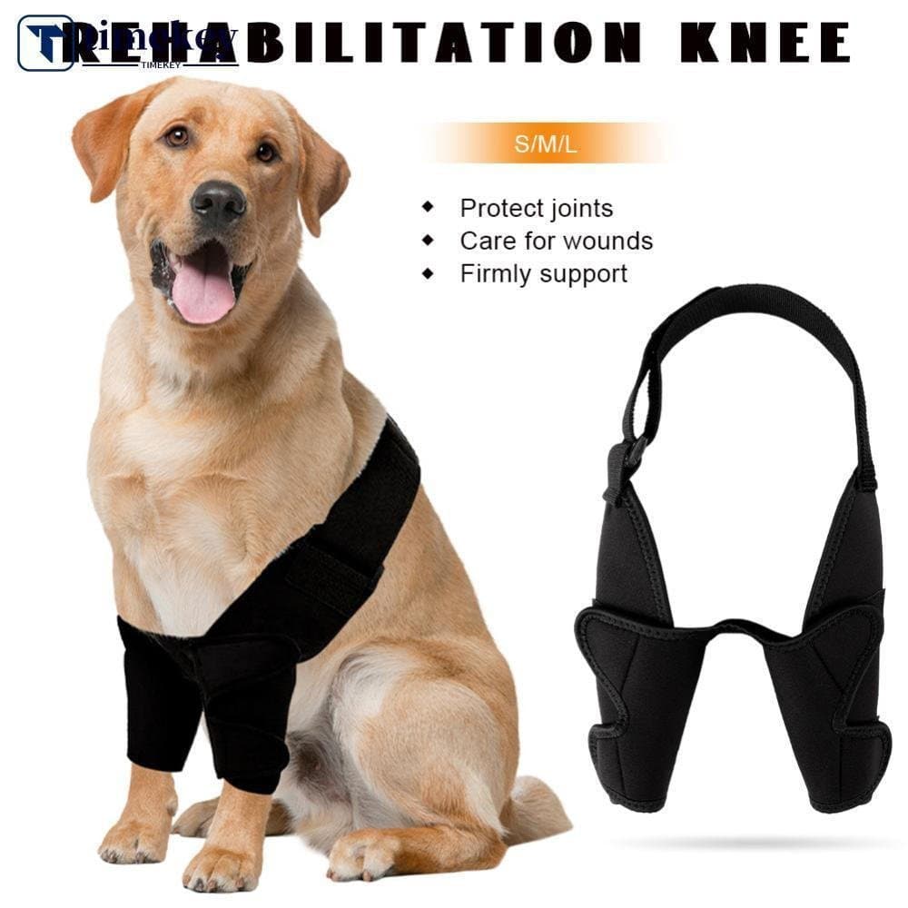 Cão Cotovelo Completo Cinta Protetor Para Todas As Raças De Cães Canino Ombro Frente Perna Conjunta Protetores D