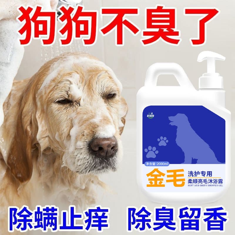 Golden Retriever Gel de banho dedicado para cães, Shampoo para banho de animais de estimação, esterilização líquida, des