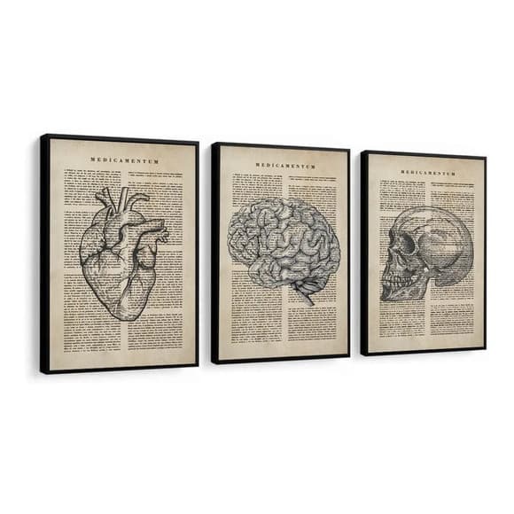Quadro Decorativo Medicina Coração e Cérebro 3 Peças Consultório Médico