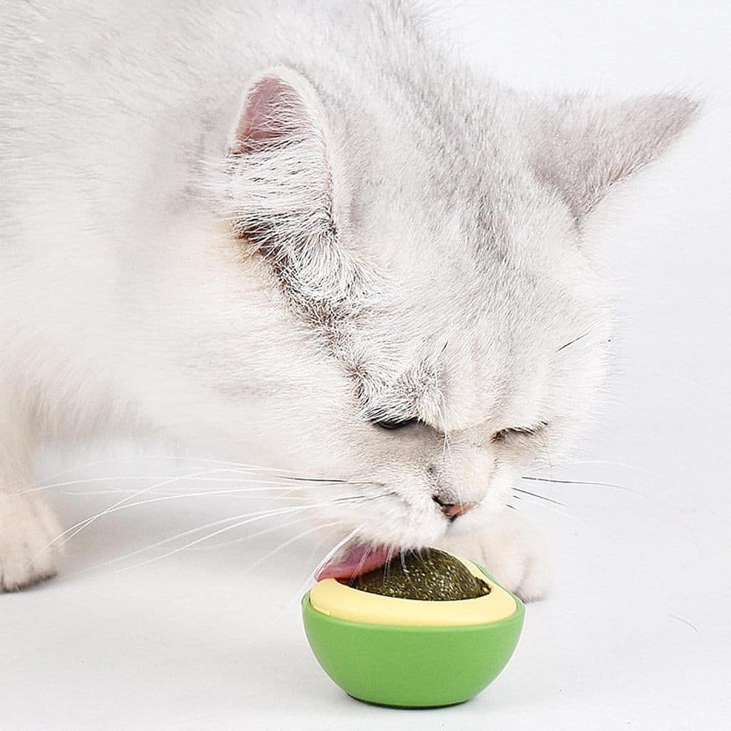 Catnip Abacate 360º Bolinha Lamber Gato Mordedor Frutas Estímulo Gato Feliz Relaxado Fita Dupla face