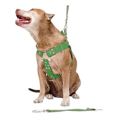 Peitoral Cachorro Guia E Adaptador Resistente E Segura Nova