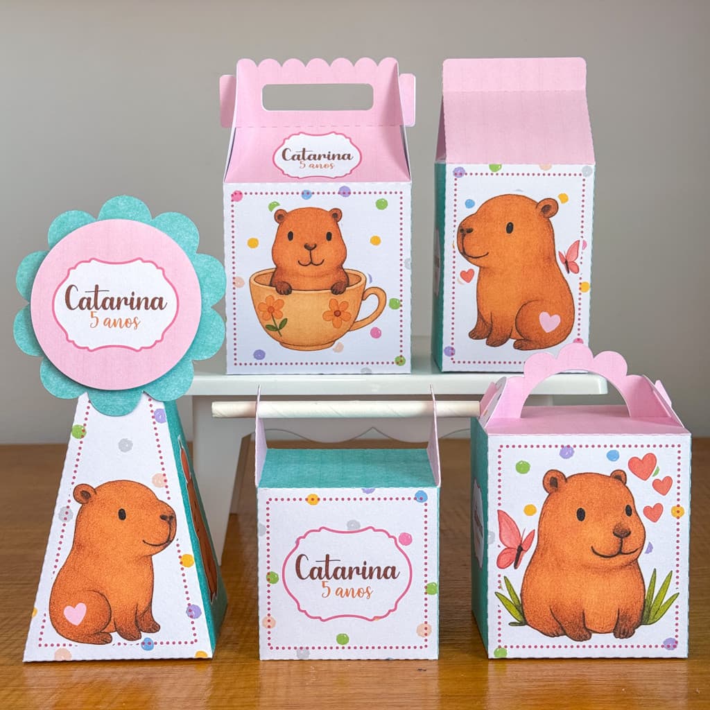 Kit Caixinhas Capivara Menina Papelaria Personalizada Festa Aniversário Caixa DESMONTADO