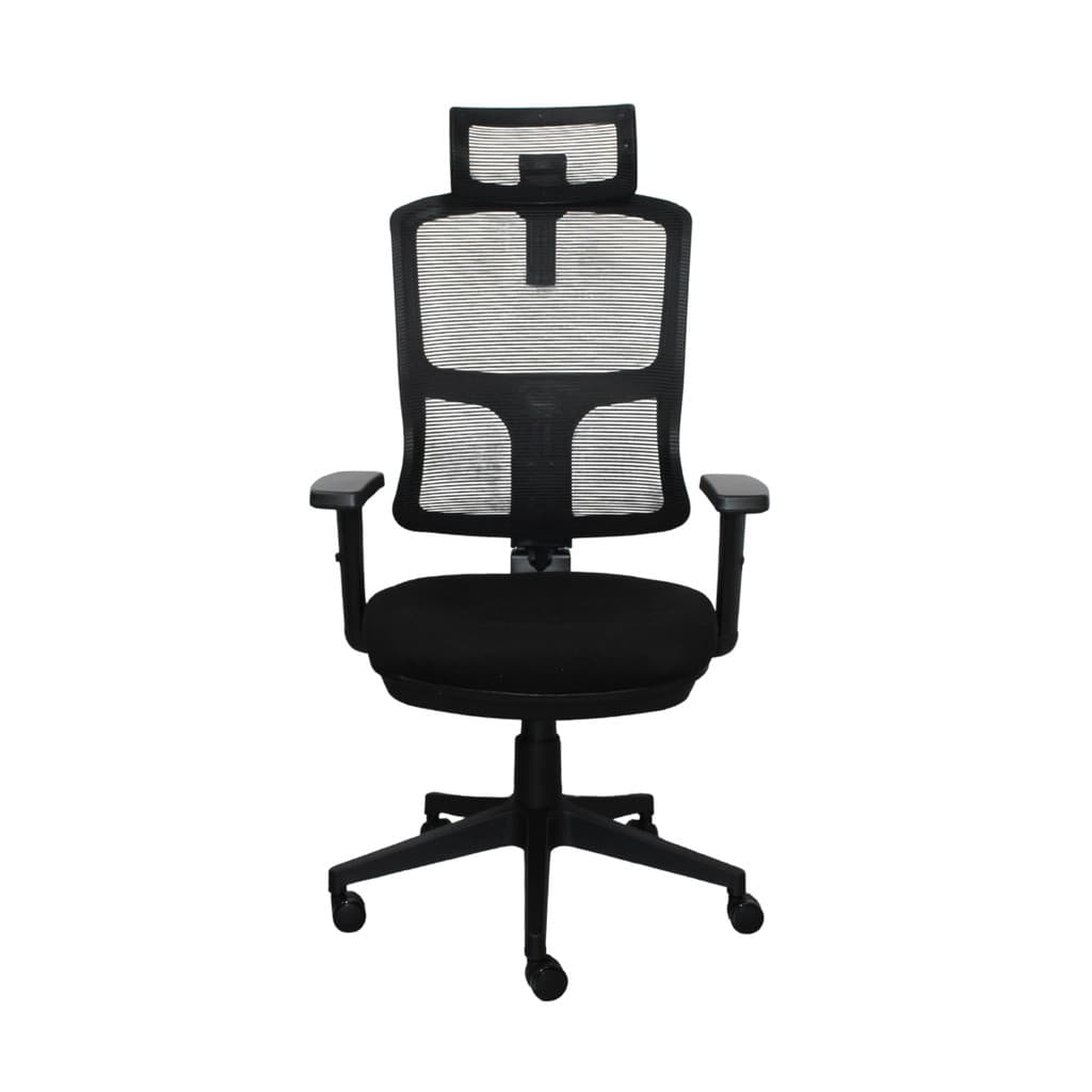 Cadeira Escritório Ergonômica NR17 Ergopro Back System Apoio Cabeça Reclinável Encosto Tela Mesh