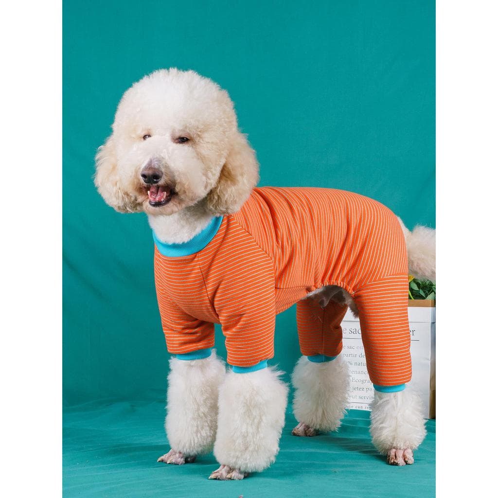 Listrado grande cão traje do cão traje de quatro patas outono inverno alemão veludo Labrador Golden Retriever gigante ca