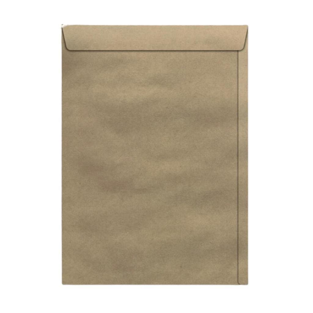 Envelope Saco KRAFT Natural Pardo 110X170MM 80GR CX C/250 UNID