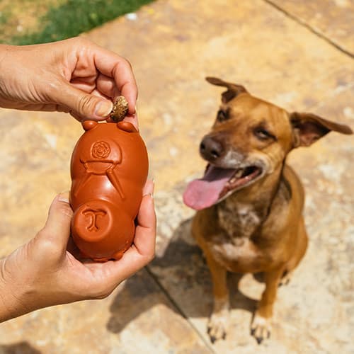 Dispenser de Petiscos Capi Picnic para cachorro | brinquedo interativo para estímulo mental enriquecimento - Petiko