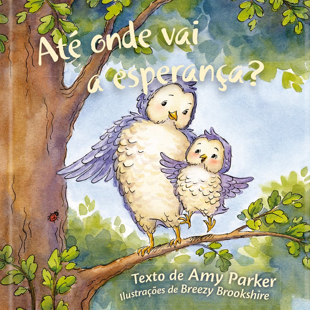Até onde vai a esperança? - Livro infantil cristão