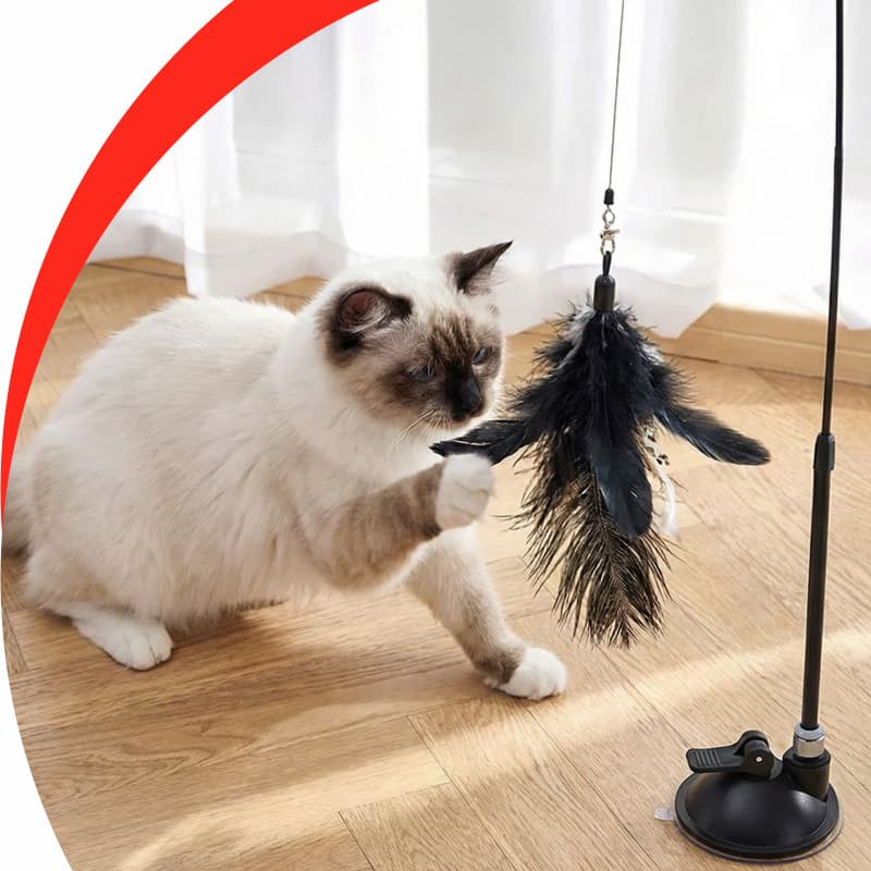 Brinquedo Interativo Varinha Pena Com Ventosa Que Fixa No Chão Para Gatos Adultos e Filhotes