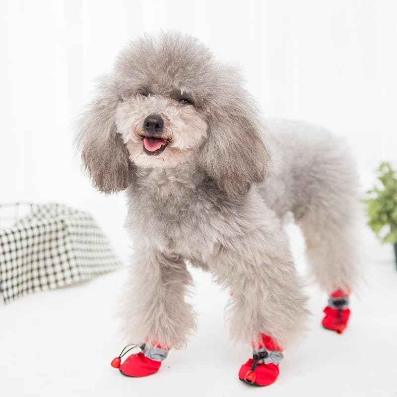Sapatos para cães pequenos, outono inverno, à prova d'água, Anti-queda, capa para pés, filhotes, sapatos de pelúcia, Bic
