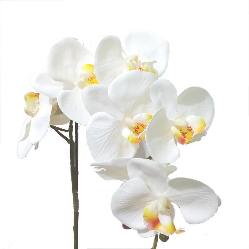 Arranjo Decorativo 1 Haste De Orquídea Branca Artificial Grande - 97cm