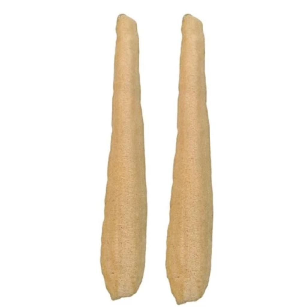 KIT C/ 2 BUCHA VEGETAL GRANDE INTEIRA NATURAL BANHO